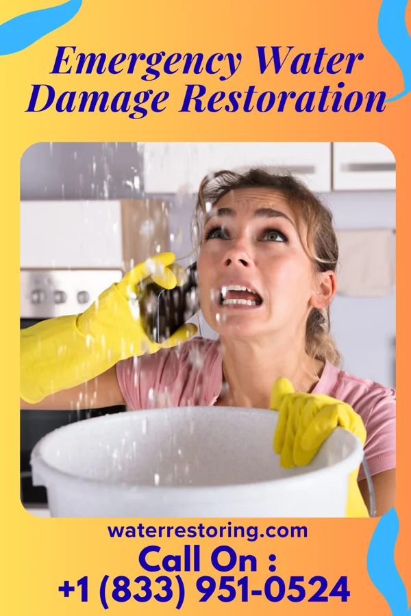 Emergency Water Damage Restoration in Seabrook Beach, NH