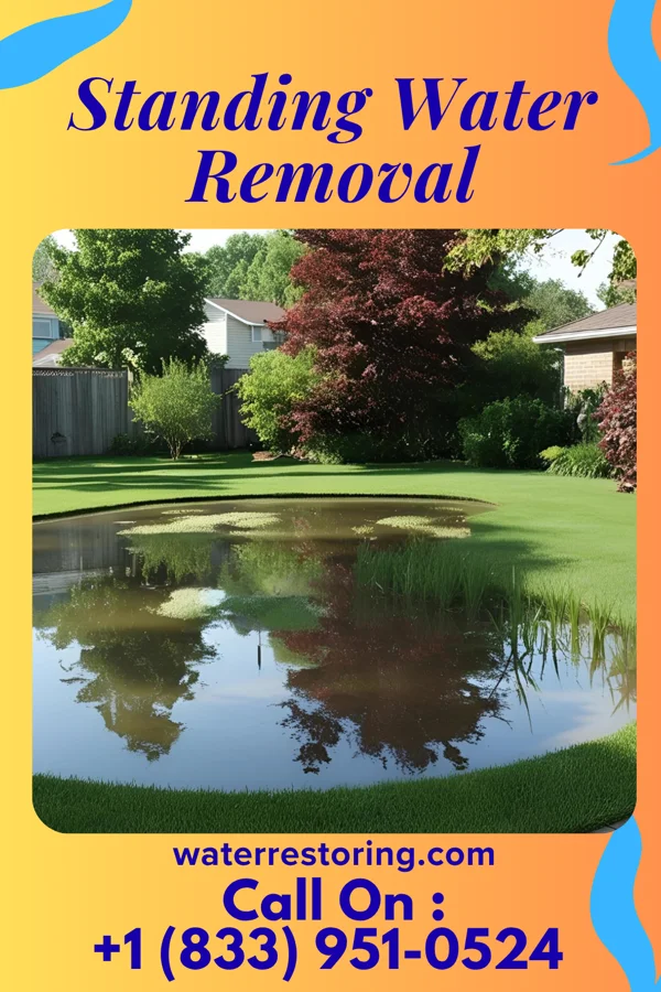 Standing Water Removal in Seabrook Beach, NH